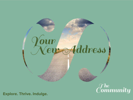 Siddhatva Developers